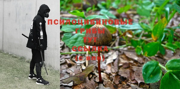 гидропоника Алексин