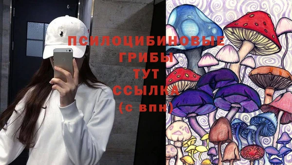спиды Армянск