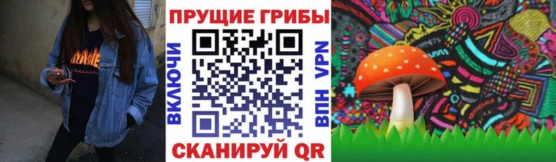 Псилоцибиновые грибы ЛСД  Купить где  Суоярви 